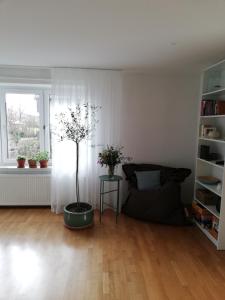 una sala de estar con una planta en el suelo de madera en Haus Rosenbusch, en Sinzing