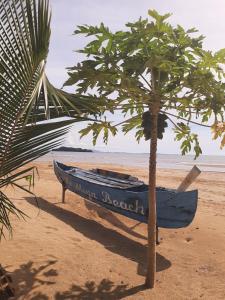 um barco azul na praia ao lado de uma palmeira em Le Moya Beach em Nosy-Be