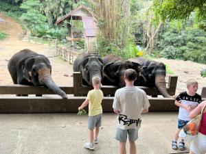 un grupo de niños mirando algunos elefantes en Ton Pling Khao Lak Villa en Khao Lak