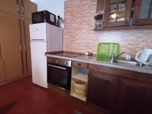 cocina con nevera blanca y fregadero en Apartma, en Selnica ob Dravi