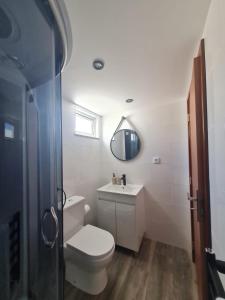 uma casa de banho com um WC, um lavatório e um espelho. em Natura House em Aveiro