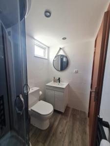 La salle de bains est pourvue de toilettes, d'un lavabo et d'un miroir. dans l'établissement Natura House, à Aveiro