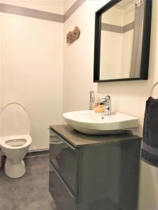 a bathroom with a sink and a toilet at Ailo in Inari