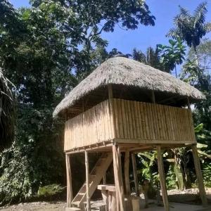 Edificio en el que se encuentra la casa o chalet