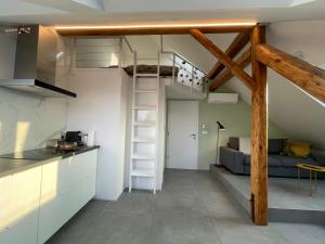 リュブリャナにあるRelax & Enjoy Ljubljanaのキッチン、リビングルーム(ロフト付)
