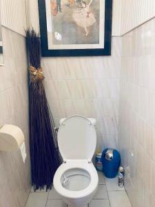 a bathroom with a toilet and a picture on the wall at Maison a Bourg- Murat proche de la cité du volcan in La Plaine des Cafres