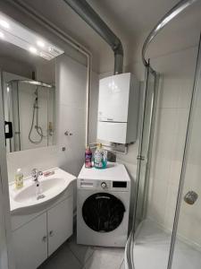 y baño con lavabo y lavadora. en *Luxurious and Spacious family apartment*, en Viena