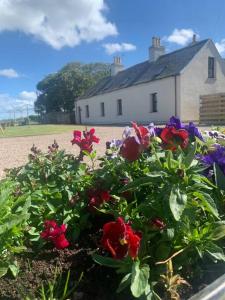 un jardín con flores rojas y moradas frente a una casa en Sea View ,Cottage2 Dunnetbay accommodation, en Castletown