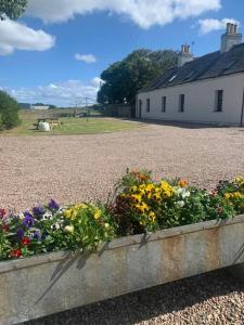 a bed of flowers in front of a house at Sea View ,Cottage2 Nc500 in Castletown
