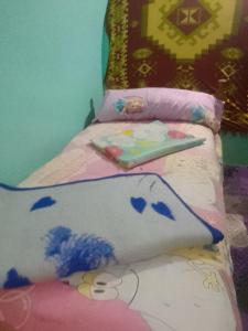 Una cama con una almohada y una bandeja. en Hag Doly Nubian geust House, en Asuán