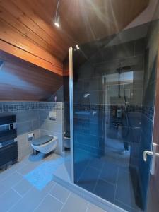 uma casa de banho com uma cabina de duche em vidro e um WC. em Bed & Breakfast Bursins em Bursins