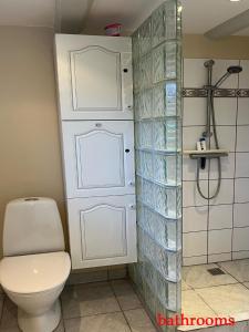 a bathroom with a toilet and a shower at Bak Guesthouse in Copenhagen +20 photos