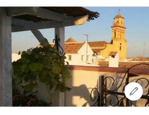 Fotografie z fotogalerie ubytování Santa Marina Flowers v destinaci Córdoba