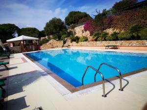a large swimming pool with blue water at Villa La Liccia Misia in Santa Teresa Gallura