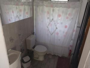 Loft Verde que te quiero Verde في مرسيدس: حمام مع مرحاض ومغسلة وستارة دش