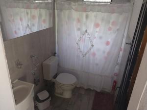a bathroom with a toilet and a sink and a shower curtain at Loft Verde que te quiero Verde in Mercedes +63 photos