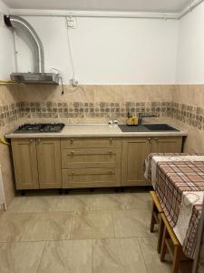 a kitchen with a sink and a stove in it at Vila GABY Mangalia in Mangalia