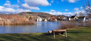 ein Picknicktisch auf dem Rasen neben einem See in der Unterkunft FeWo Hafner "Zuhause mit Ausblick" in Schnaittach