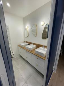 La salle de bains est pourvue de 2 lavabos et de 2 miroirs. dans l'établissement BLUE IRO - lumineux - spacieux 105m² - balcon, à Saint-Étienne