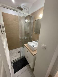 La petite salle de bains est pourvue d'une douche et d'un lavabo. dans l'établissement BLUE IRO - lumineux - spacieux 105m² - balcon, à Saint-Étienne