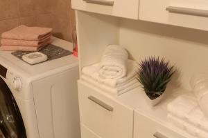 - une salle de bains blanche pourvue de serviettes et d'une plante sur un comptoir dans l'établissement Apartment Pupila, à Solin