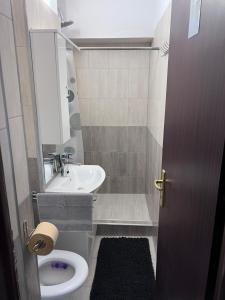 a small bathroom with a sink and a toilet at Victoria apartment Miercurea Ciuc in Miercurea-Ciuc +15 photos