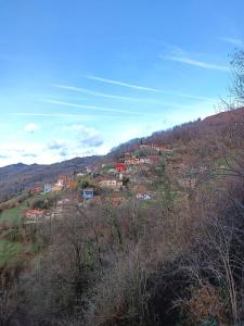 um grupo de casas no topo de uma colina em La Castañar - La Vallicuerra Casas Rurales em Mieres