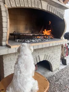 Fotografie z fotogalerie ubytování Apartments Julija v destinaci Crikvenica