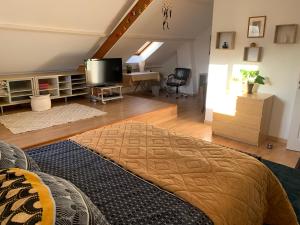 uma sala de estar com uma cama e uma televisão de ecrã plano em La maison parisienne & jardin em Argenteuil