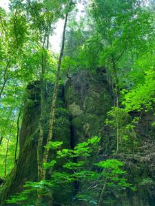 Naturlandschaft in der Nähe der Ferienwohnung