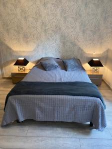 a bedroom with a large bed with two lamps at LE GITE DU LYNX N°2 in Cernon
