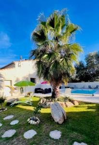 a palm tree in a yard next to a pool at Chambre d'hôtes Casa Tib in Prunelli-di-Fiumorbo