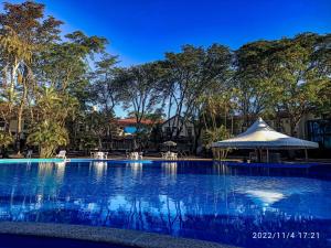 uma grande piscina com um guarda-sol branco e árvores em Hotel Água Das Araras em Paraguaçu Paulista