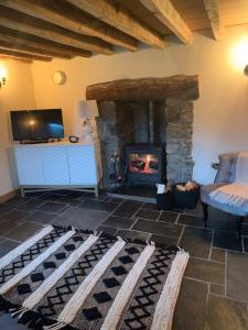 a living room with a fireplace and a tv at Yr Hen Efail in Llanfihangel-yng-Ngwynfa