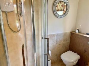 ein Bad mit einer Dusche, einem WC und einem Spiegel in der Unterkunft Yr Hen Efail in Llanfihangel-yng-Ngwynfa