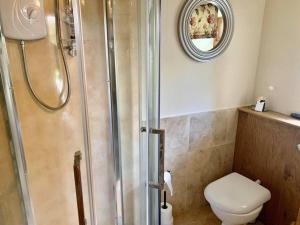 a bathroom with a shower and a toilet and a mirror at Yr Hen Efail in Llanfihangel-yng-Ngwynfa