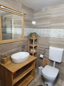łazienka z białą umywalką i toaletą w obiekcie Grunt Sonek w mieście Mislinja