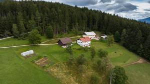Příroda nedaleko apartmánu
