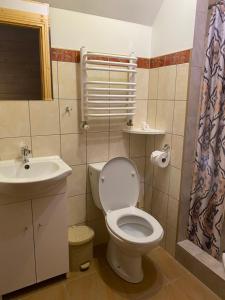 a bathroom with a toilet and a sink at Pokoje Gościnne Przy Drodze in Białka Tatrzańska