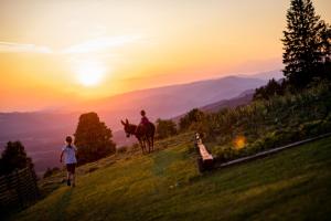 a person and a person riding a horse on a hill at Grunt Sonek in Mislinja