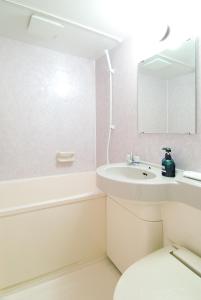 a bathroom with a sink and a toilet and a mirror at Hotel New Ohte in Hakodate