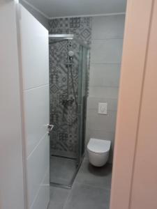 a bathroom with a shower and a toilet in it at DAMI in Tuzla