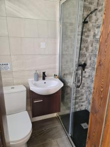 a bathroom with a toilet and a sink and a shower at Splendid House Victoria Gozo in Victoria