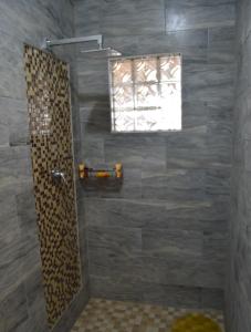 a shower with a glass door and a window at Glorious Home Bed & Breakfast in Mochudi