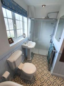 uma casa de banho com um WC, um lavatório e um chuveiro em Countryside 3 Bed Detached Cottage em Royal Wootton Bassett