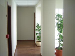 Fotografia z galérie ubytovania Hostal El Estudio v destinácii Almansa