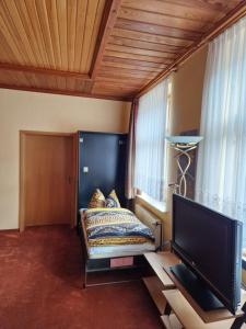 1 dormitorio con 1 cama y TV de pantalla plana en Ferienwohnung Matthisson en Oranienbaum-Wörlitz