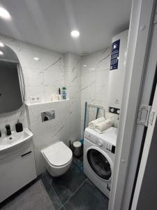 a bathroom with a washing machine and a sink at Stylish&Cozy Loft Žuvėdra near City Center in Vilnius