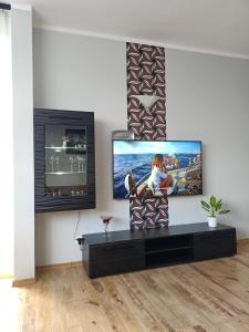 TV a/nebo společenská místnost v ubytování Apartamenty na skarpie