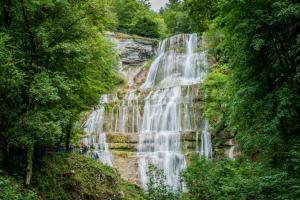 a waterfall in the middle of a forest at LE GITE DU LYNX N°2 in Cernon